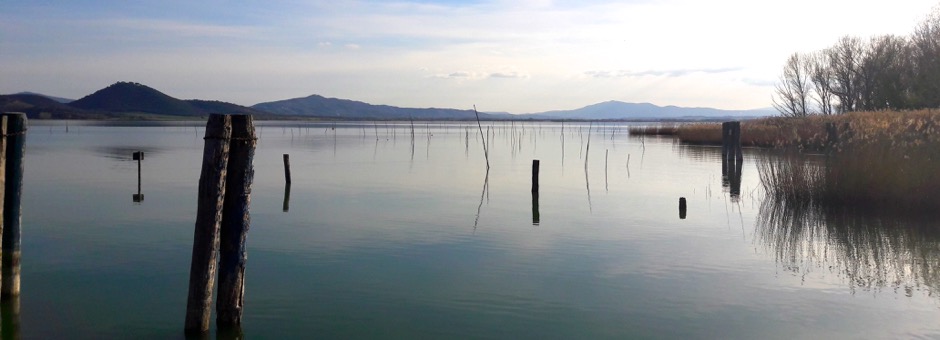 Immagine di un lago. Acqua calma, senza onde. Immagine ideale per stimolare il riequilibrio respiratorio.