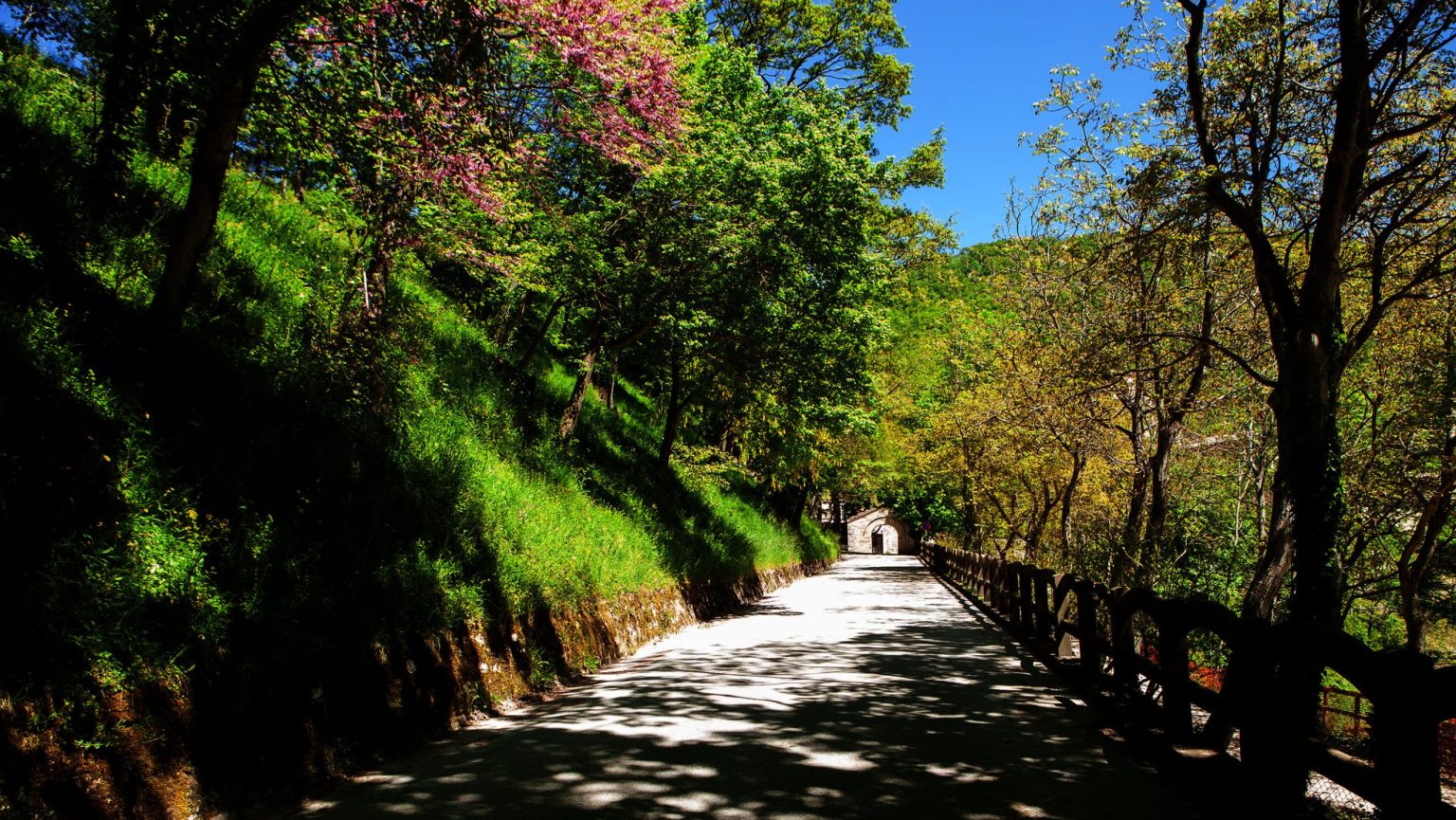 Immagine del viale di ingresso del Monastero di Fonte Avellana, immerso nel verde
